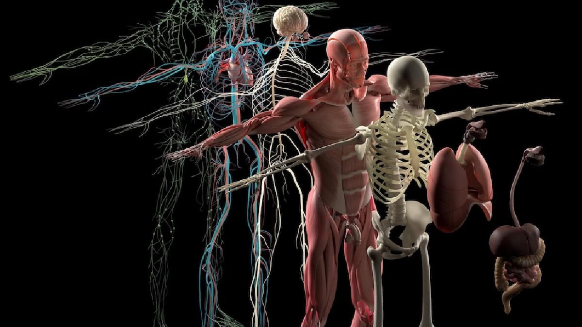 متلازمة الشخص المتيبس