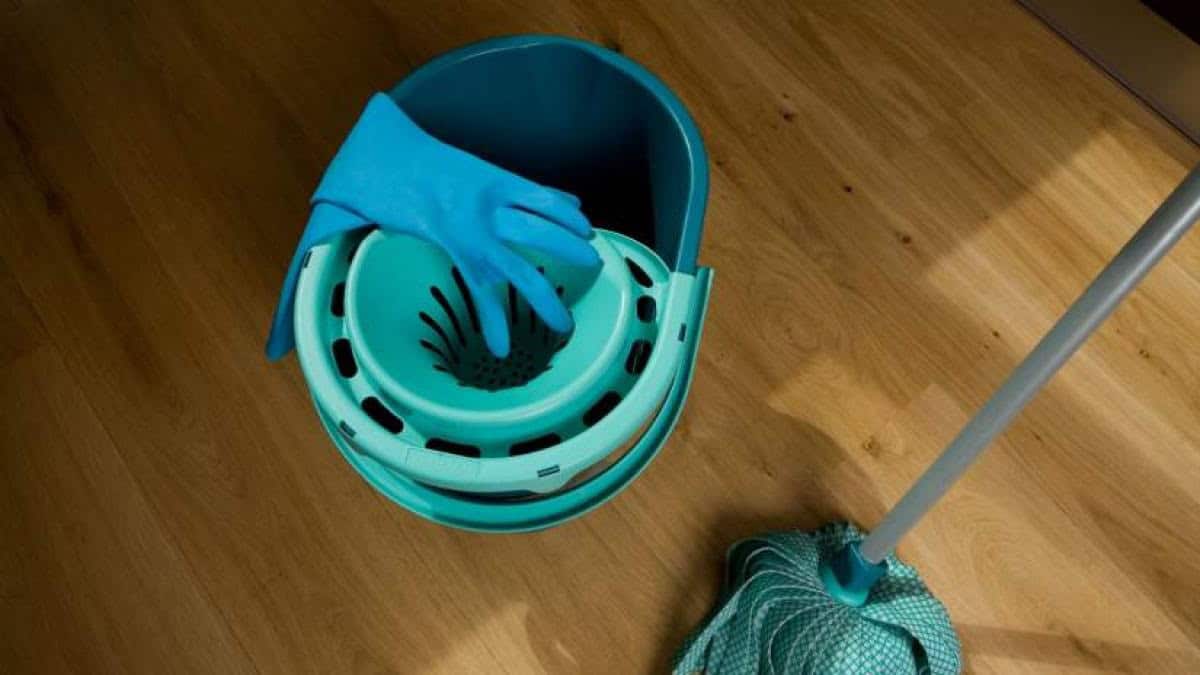 ورق الغار ودلو الممسحة