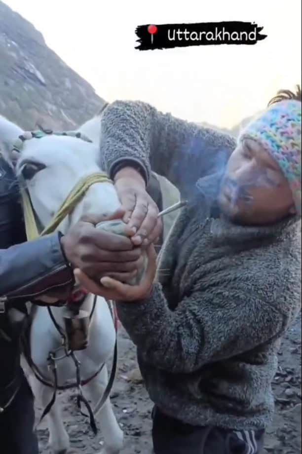 أشخاص يجبرون حمار على تدخين الحشيش