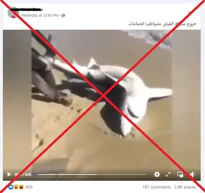 ظهور سمكة قرش في تونس