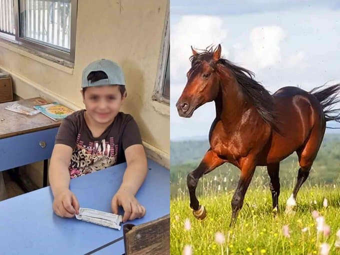 عضة حصان تصيب طفلا أردنيا بمرض غامض