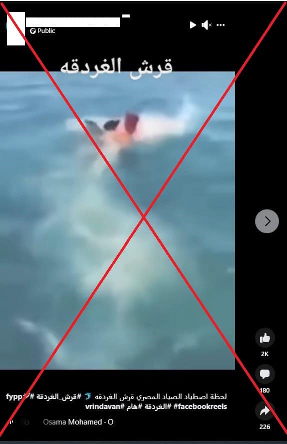 صياد يمسك بسمكة قرش الغردقة