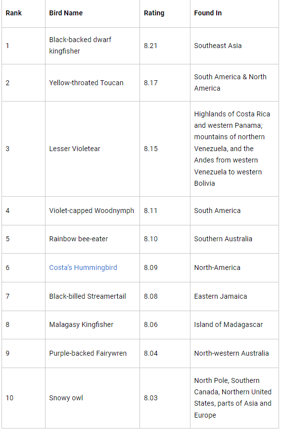 قائمة أجمل 10 طيور في العالم