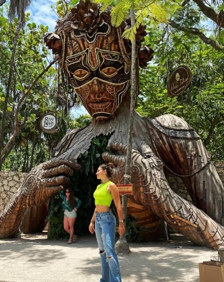 نيكون سعفان