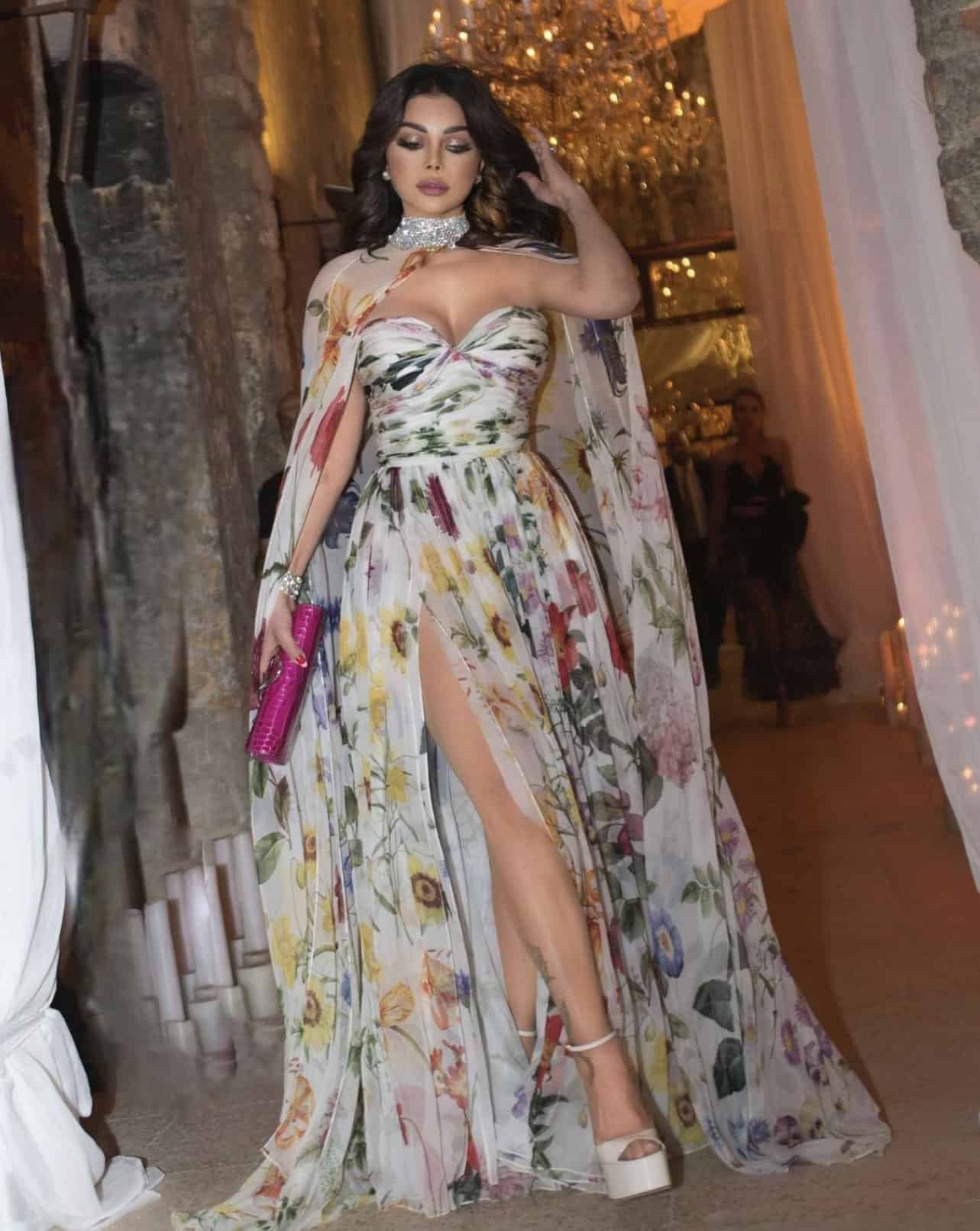 هيفاء وهبي وغنى غندور