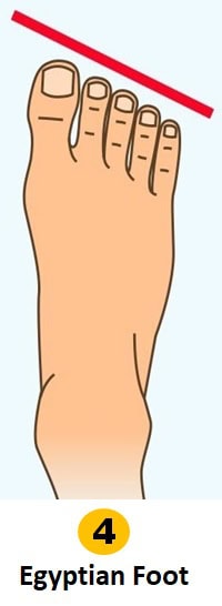 القدم المصرية