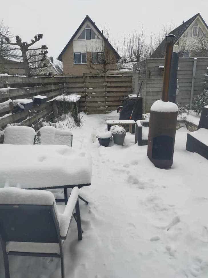 قطة مختبئة على أصحاب النظر الحاد 