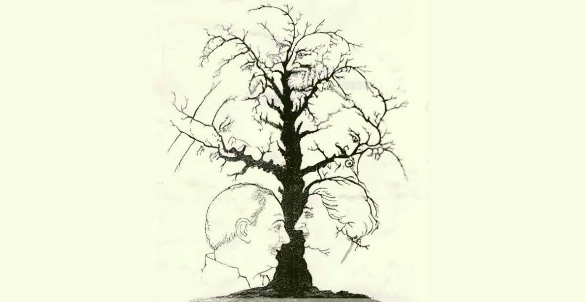 10 وجوه مخفية في الصورة