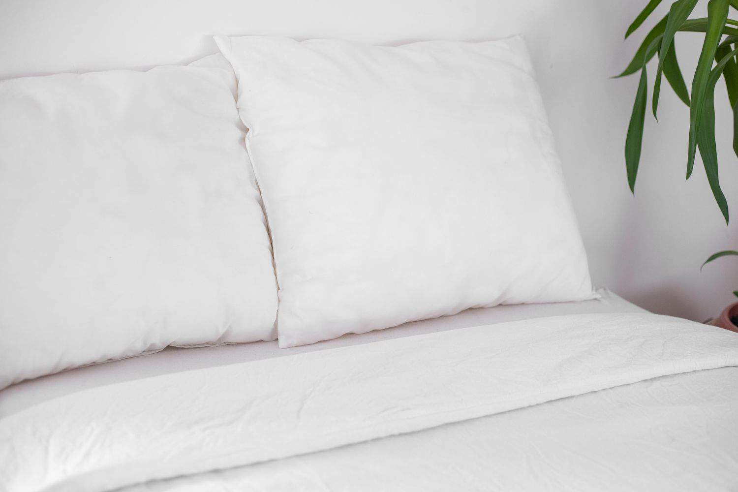 تنظيف المراتب