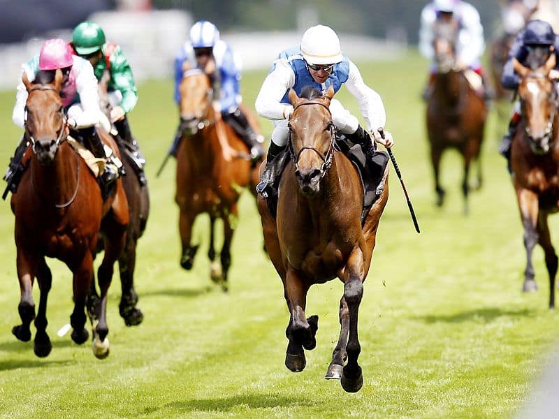 المنشطات والأحصنة