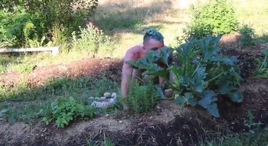 الجنس البيئي