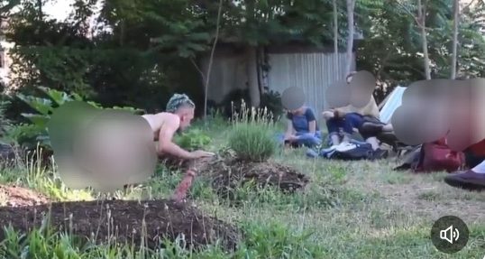 الجنس البيئي