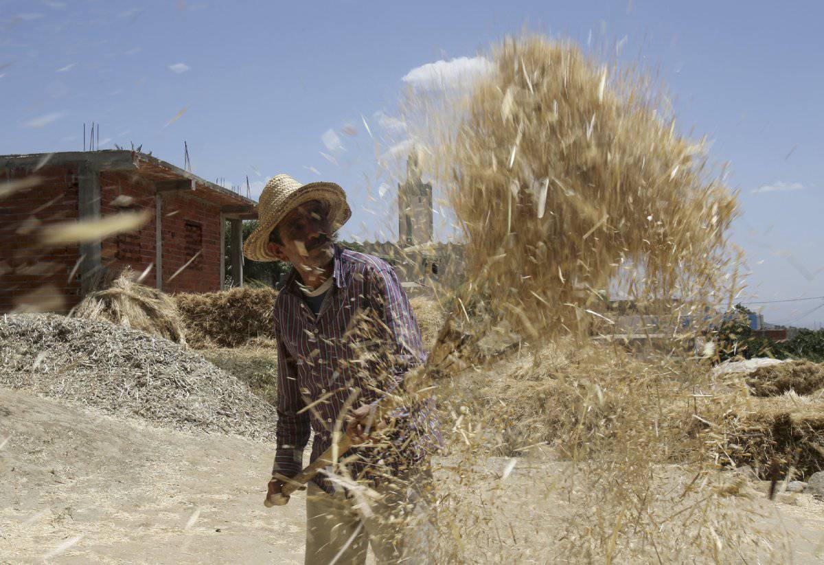 تحذير خطير للبنك الدولي يُقلِق المغاربة على وضعهم الغذائي ما قصته؟ watanserb.com
