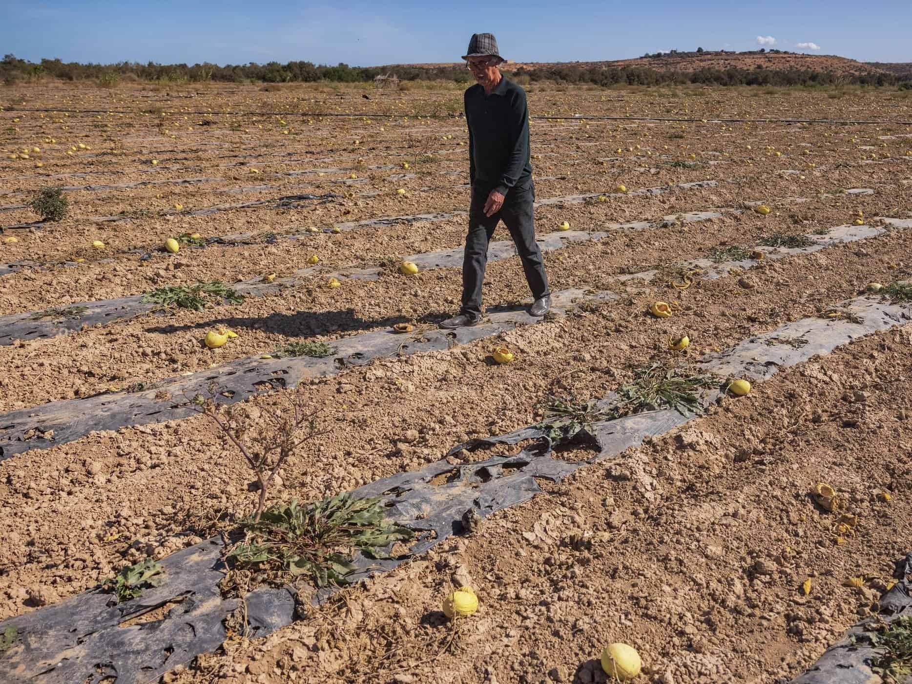 جفاف المغرب