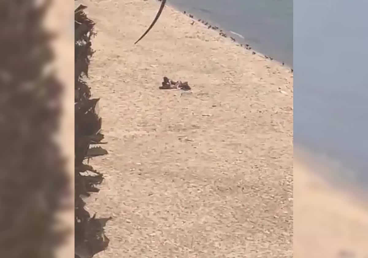 طالب مواطنون بمحاسبتهما