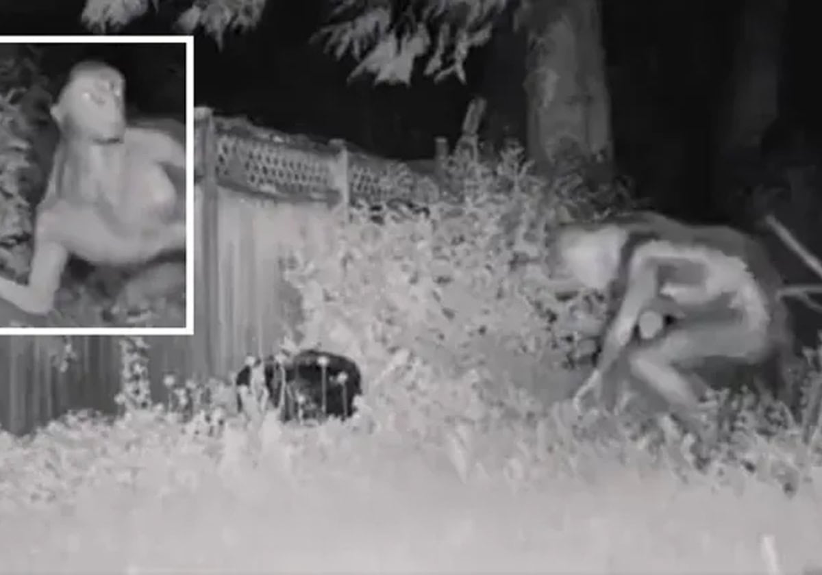 مقطع فيديو لكائنات فضائية في لاس فيغاس يحصد ملايين المشاهدات.. حقيقة أم خيال؟ مقطع فيديو لكائنات فضائية في لاس فيغاس يحصد ملايين المشاهدات.. حقيقة أم خيال؟