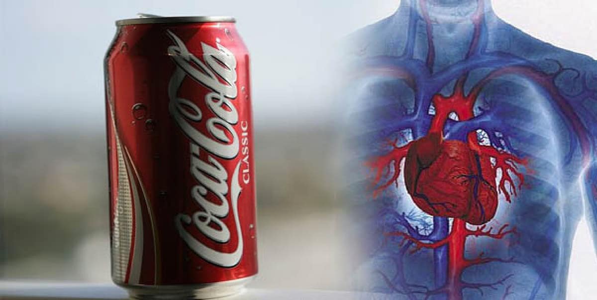 دراسة: مشروبات تزيد من نسبة الدهون الثلاثية بنسبة 53٪ وتهدد صحّة القلب الدهون الثلاثية ومستويات الكوليسترول