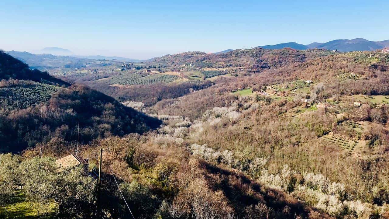 مطعم سولو بير دوي