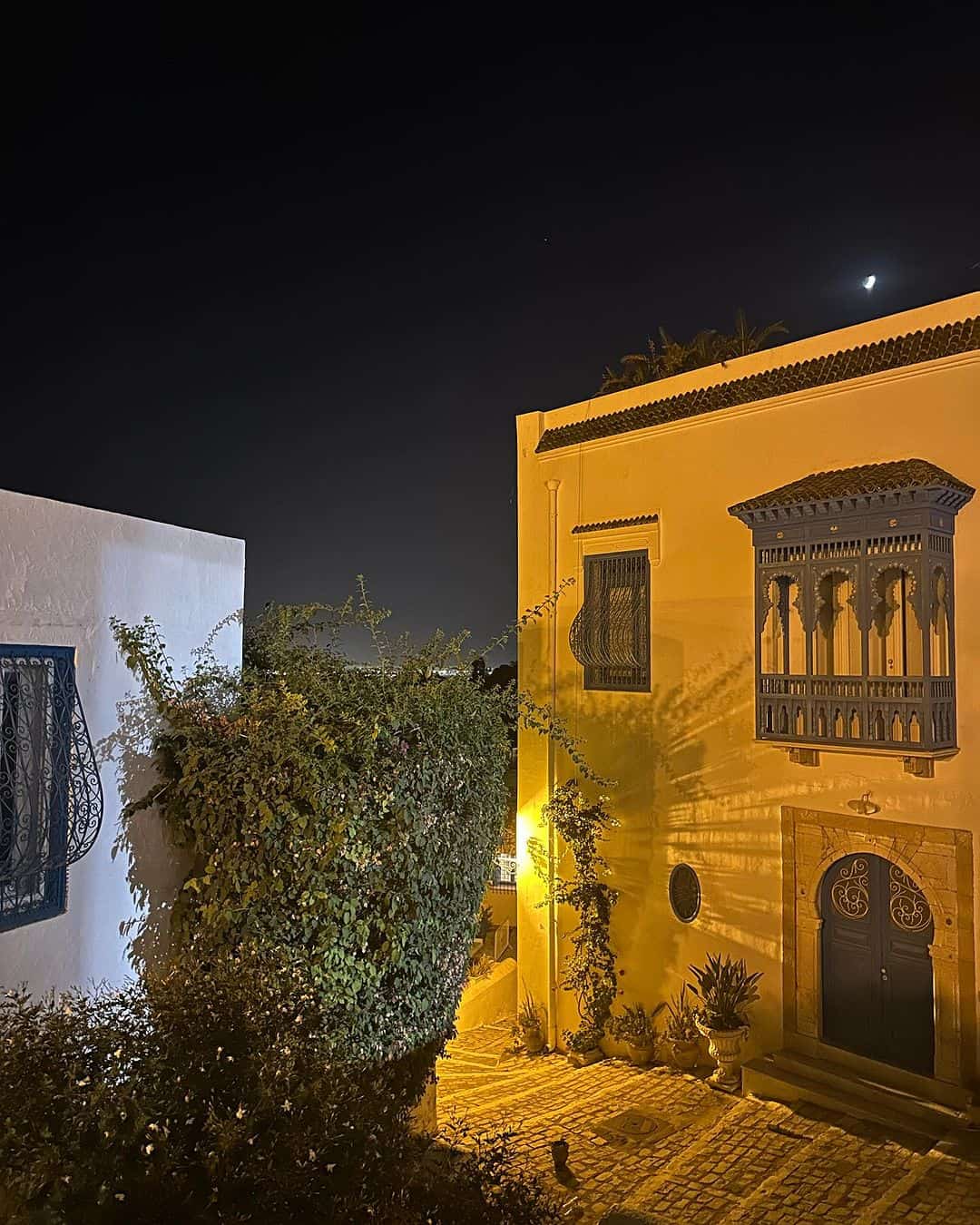 هبة عبوك في تونس