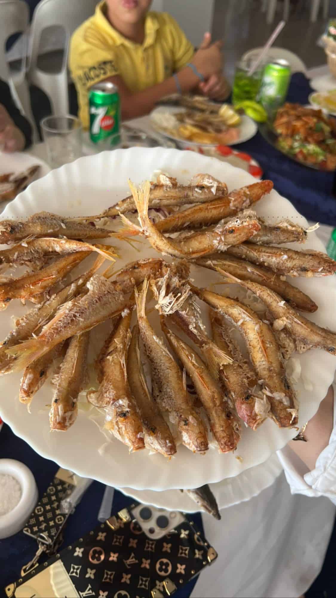 رقص نسرين طافش