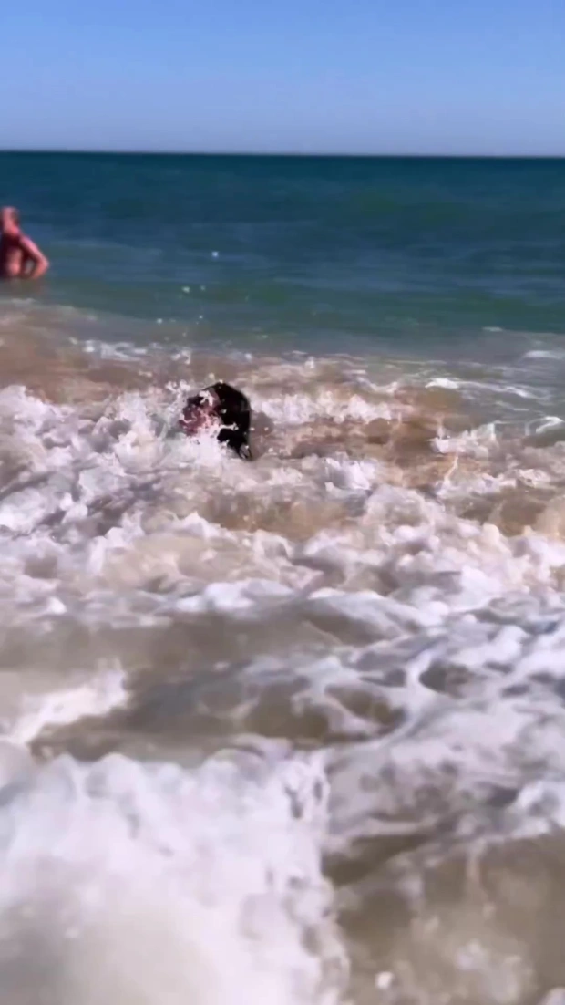 جورجينا رودريغيز 