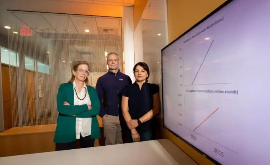 فحص الباحثون أمعاء الفئران التي كانت تتغذى باستمرار على نظام غذائي غني بزيت فول الصويا