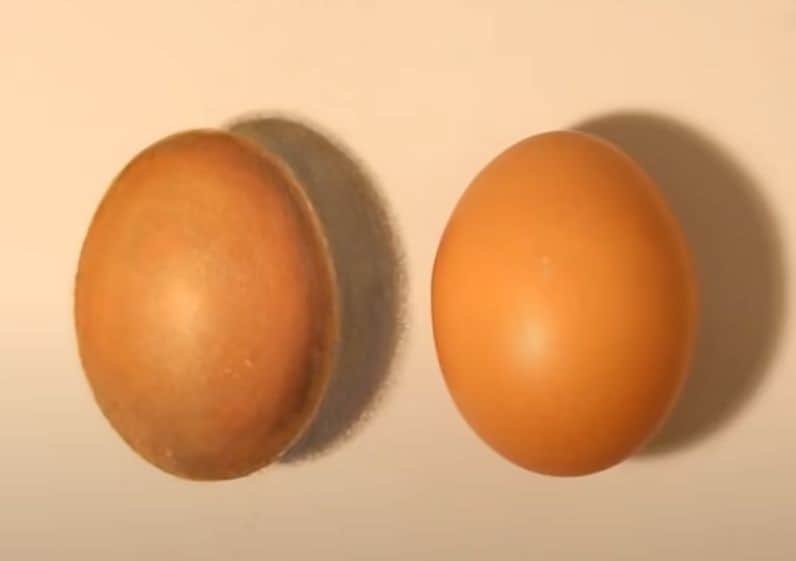 اعثر على البيضة الحقيقية