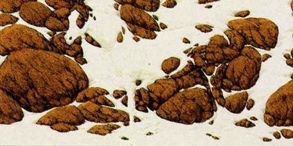 اكتشف الحصان داخل الوهم البصري