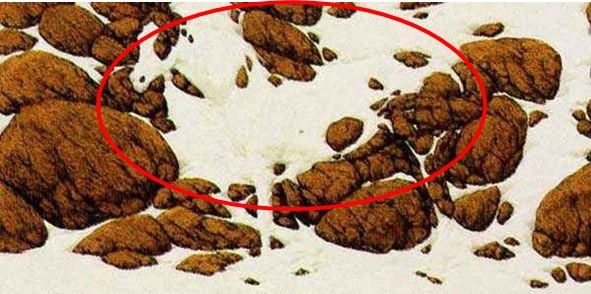 اكتشف الحصان داخل الوهم البصري