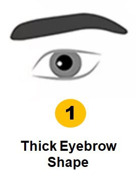 الحواجب الكثيفة