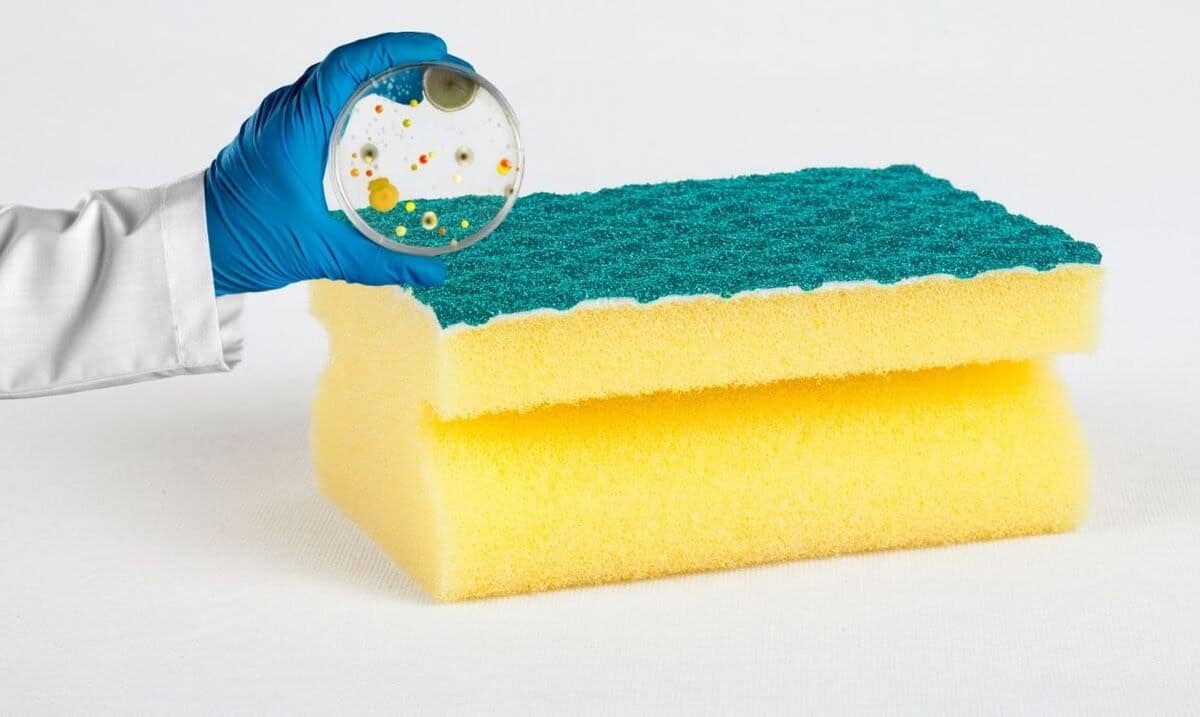 المناشف والإسفنج تحتوي في المتوسط على 10 ملايين بكتيريا لكل سنتيمتر مربع،