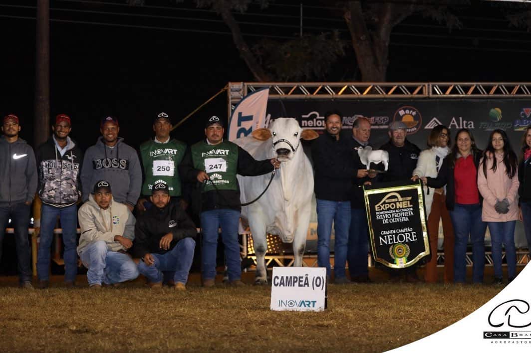 البقرة الأغلى في العالم 