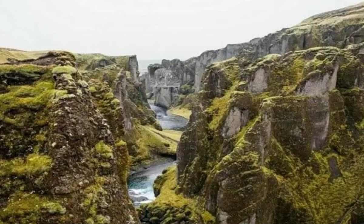 النمر أمامك لكنه مختبئ.. من يقدر على اكتشافه في 6 ثوانٍ فقط فليفعل النمر أمامك لكنه مختبئ.. من يقدر على اكتشافه في 6 ثوانٍ فقط فليفعل