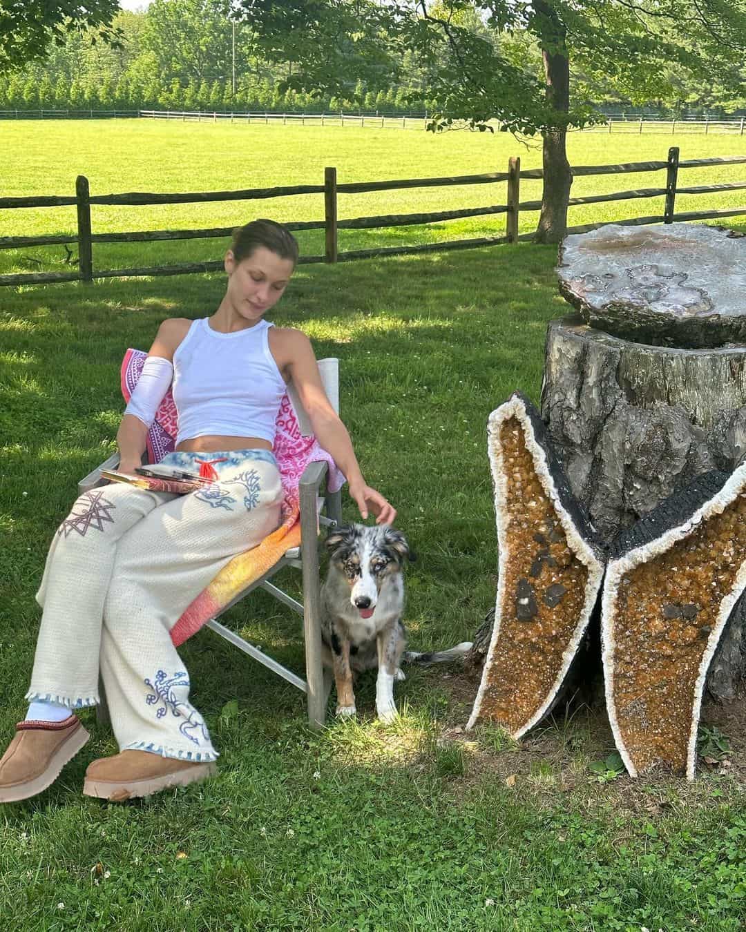 الأمريكية بيلا حديد