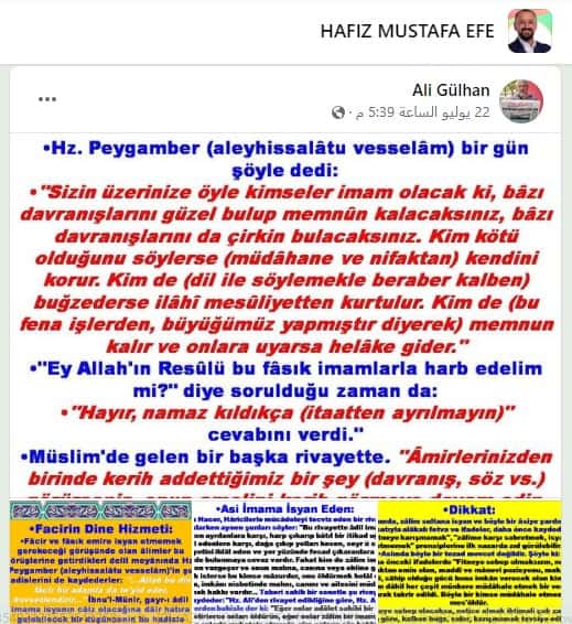 سمح للقطط الضالة بالعيش في المسجد