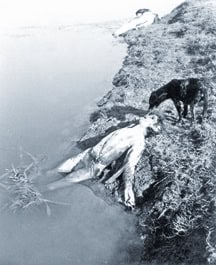 مجزرة رايربازار في بنغلاديش.. من لم تتسع له الأرض تتسع له الأنهار.