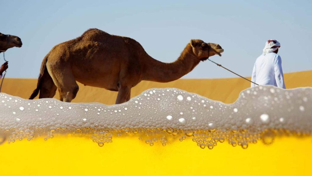 سياسي إندونيسي يشرب بول الإبل أثناء تواجده في السعودية! | القصة الكاملة بول الإبل