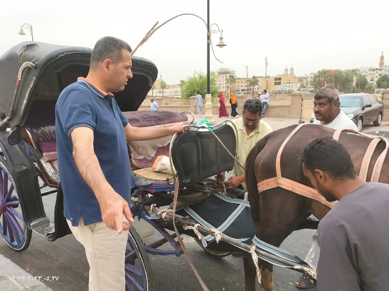 ترخيص الحنطور في مصر