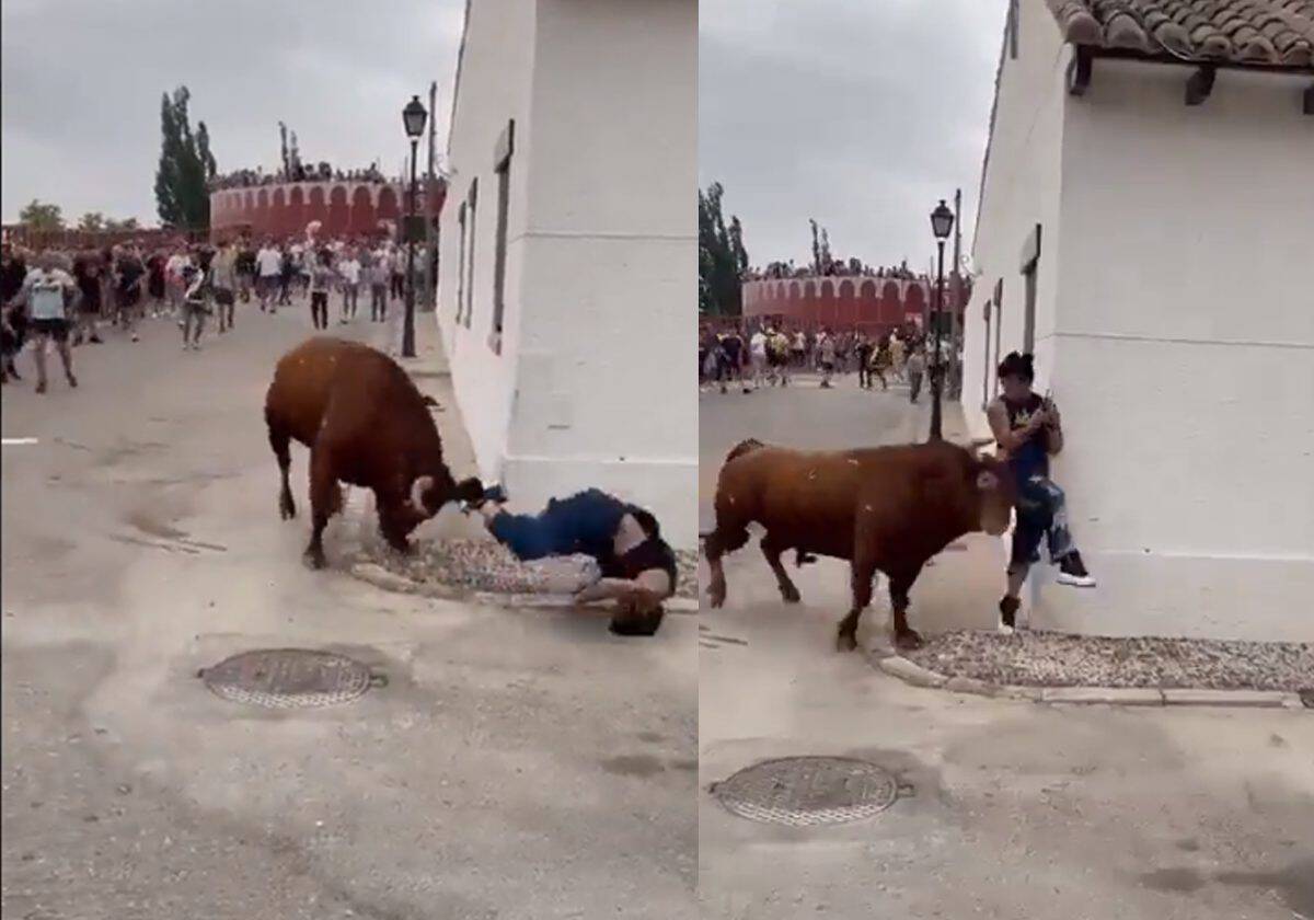 مزق بنطالها.. ثور هائج يضرب فتاة في منطقة حساسة ويسحلها (فيديو) ثور هائج يضرب فتاة في منطقة حساسة ويسحلها