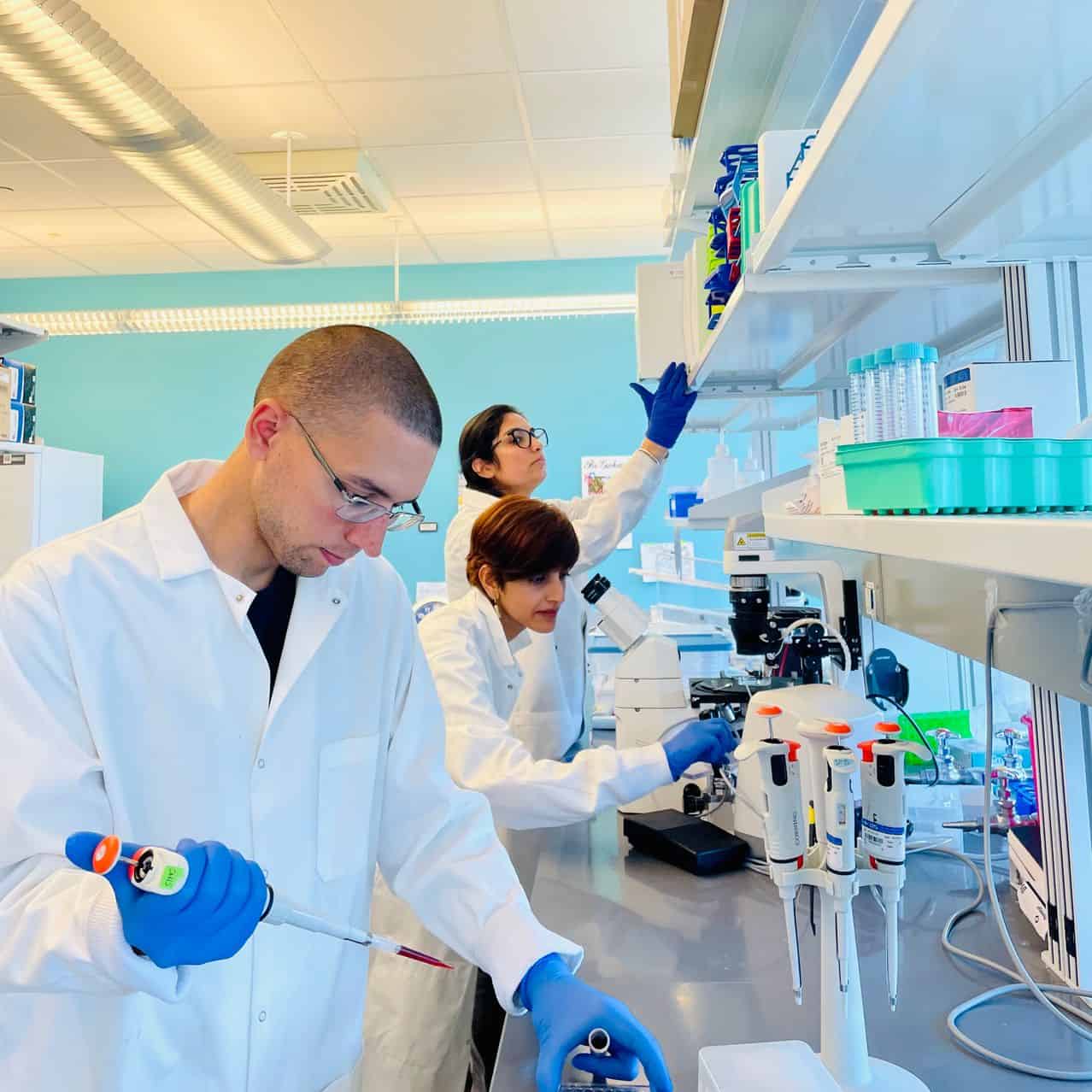 الأبحاث الأساسية حول بيولوجيا الشيخوخة