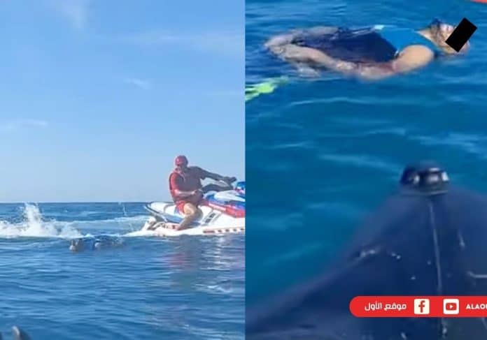 الجزائر تقتل مغربيان