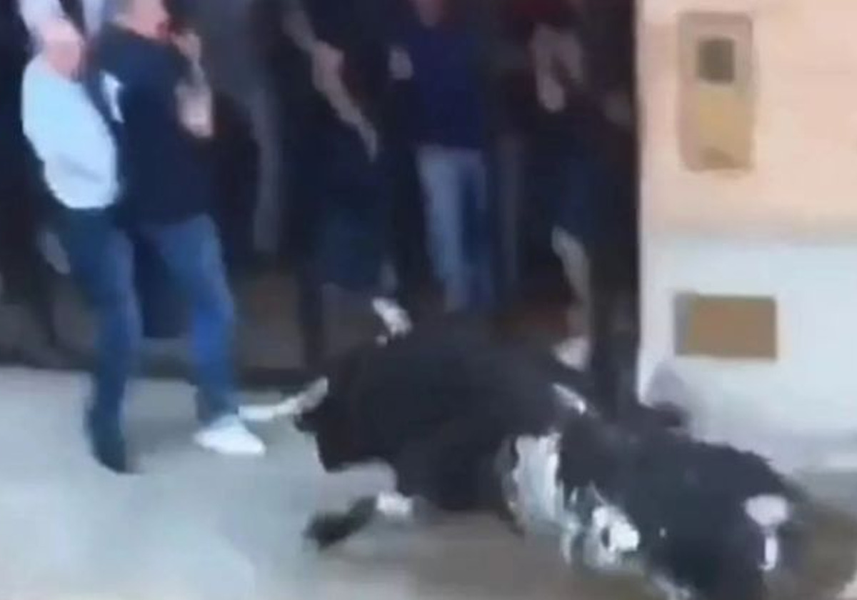 لحظات مرعبة لمقتل رجل أعمال بقرون ثور غاضب اخترقت كبده ورئته في مهرجان بإسبانيا