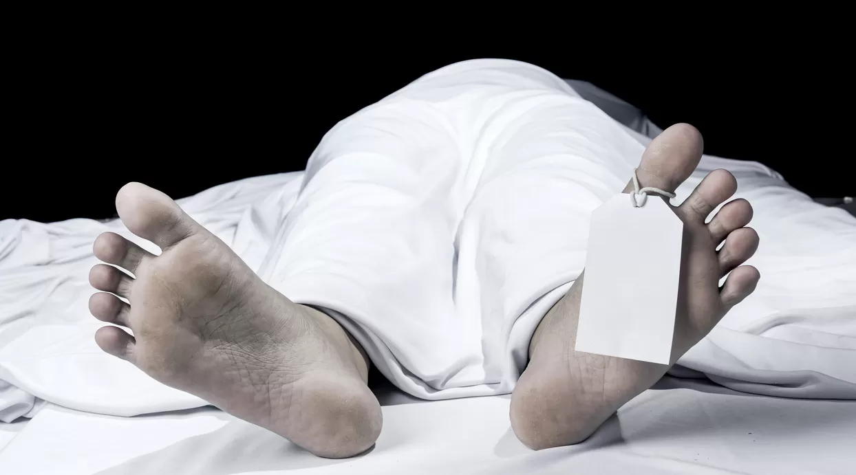 جزء حيوي في جسم الإنسان يعيش ويتطور لسنوات بعد الموت