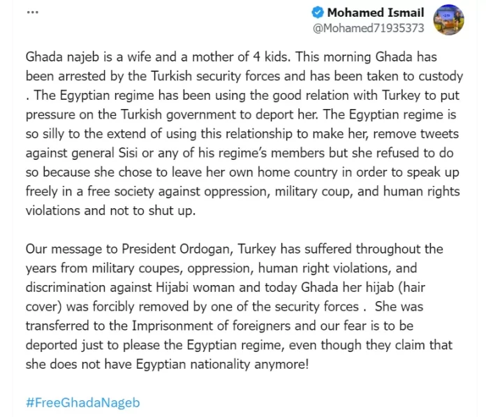 بحسب وسائل إعلام تركية فإن اعتقال غادة نجيب جاء لعدم التزامها بتعليمات التوقف عن الهجوم والتحريض على القيادة والأجهزة الأمنية في مصر