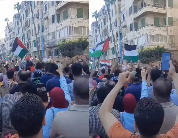 تظاهرة داعمة لفلسطين بمصر تخرج عن السياق وتتحدى السيسي (فيديو) مصريون يتظاهرون نصرة لغزة