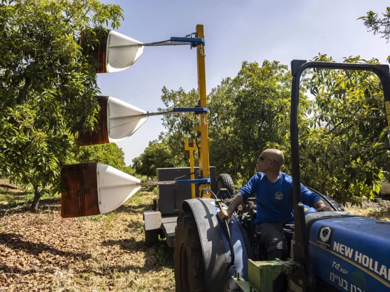 خسائر في قطاع الزراعة الإسرائيلي