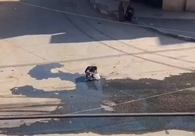شاب فلسطيني