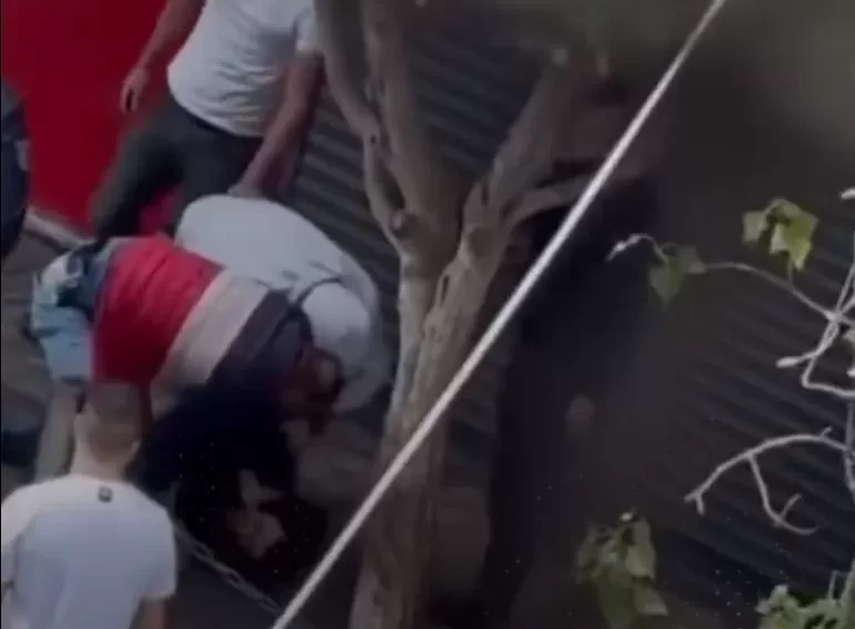 عناصر من أمن السلطة الفلسطينية بلباس مدني يعتقلون متظاهرين في رام الله