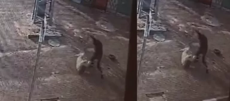 لحظة هجوم المسلح على سيدة حامل في مدينة اللد