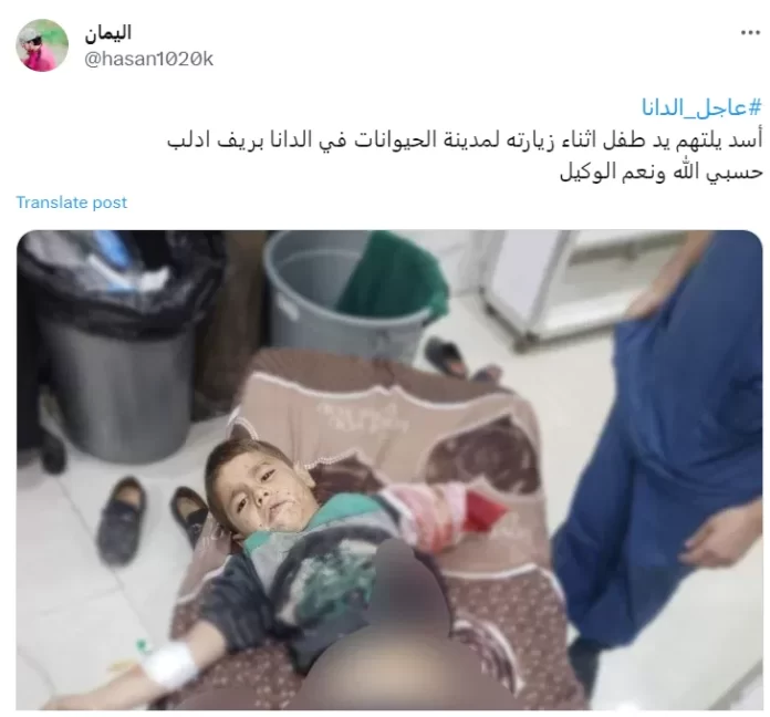 أسد يلتهم طفل في ريف إدلب